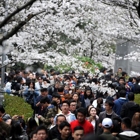 武汉市高中哪个帅哥多啊