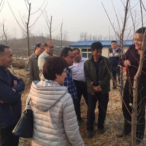 临沂市创业路怎么走