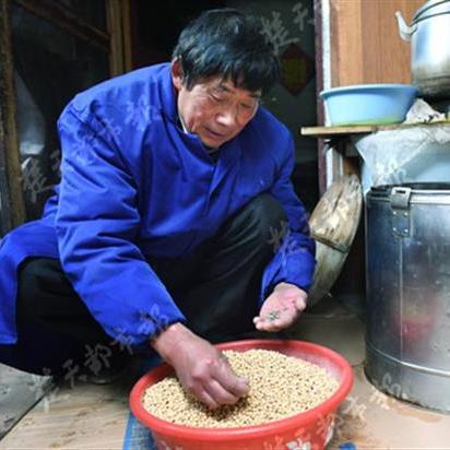 【武汉今日生猪价格】2025年6月20日武汉生猪价格是多少