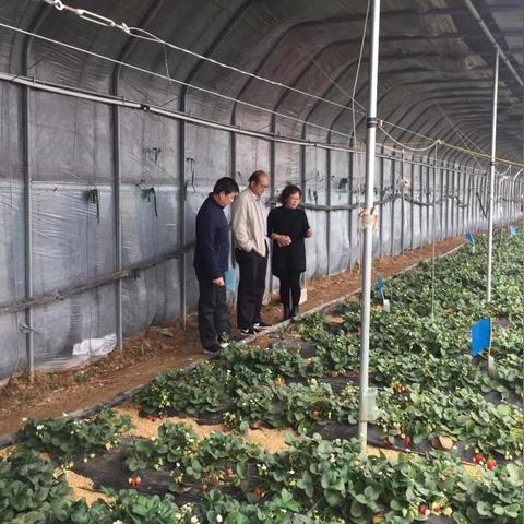 临沂市创业导师名单公布的长尾关键词有哪些