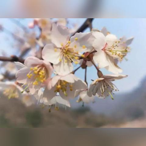 武汉市浮山村在哪个区