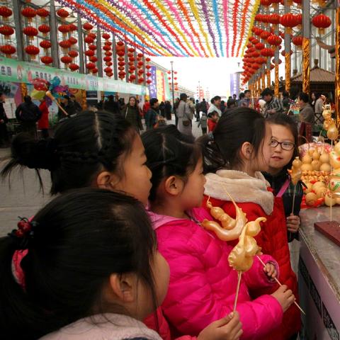 石家庄市挖野菜哪里最多的长尾关键词有哪些