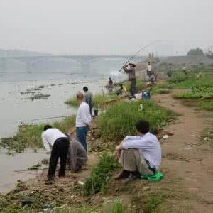 东莞市哪里有鲤鱼大炮坑