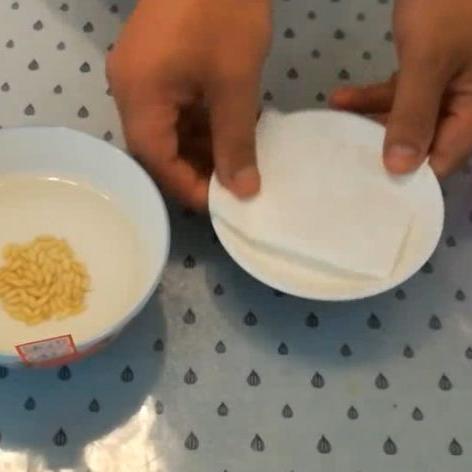 单位每月的几号办停保？