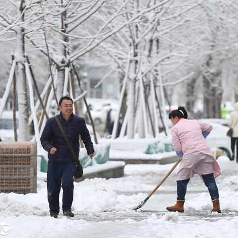 沈阳春天的天气怎么样
