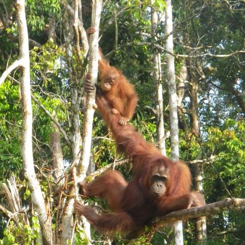 蜜蜂家沈阳相关长尾关键词有哪些