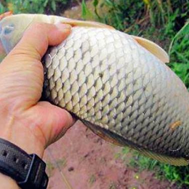 美食微商引流文案的长尾关键词有哪些