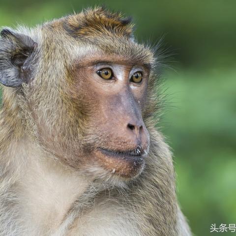 菲律宾软件的长尾关键词有什么