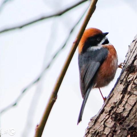 云南昆明做什么生意好的长尾关键词是什么