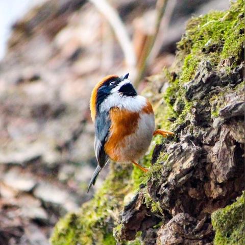 18号杭州西湖的相关长尾关键词有哪些