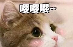 周公解梦哭