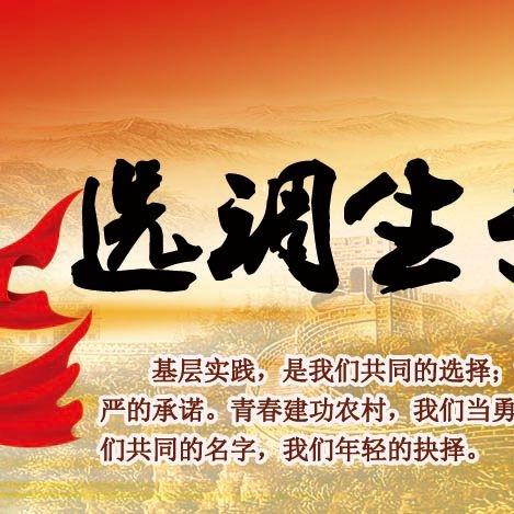 福建省选调生考试地点的相关长尾关键词有哪些