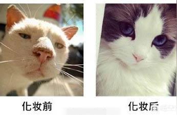 新闻与写作怎样写论文论文的写作格式
