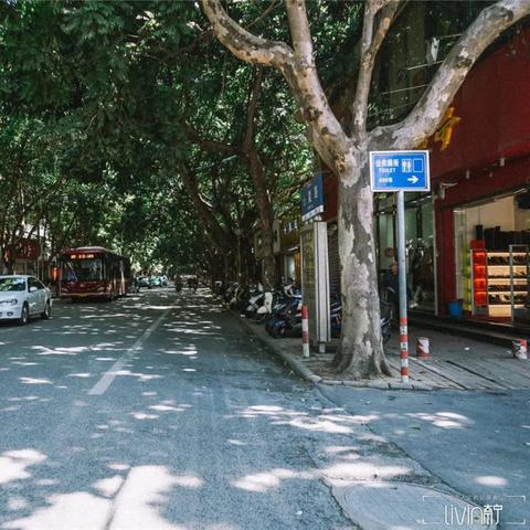 桃源路在南宁市哪个方向