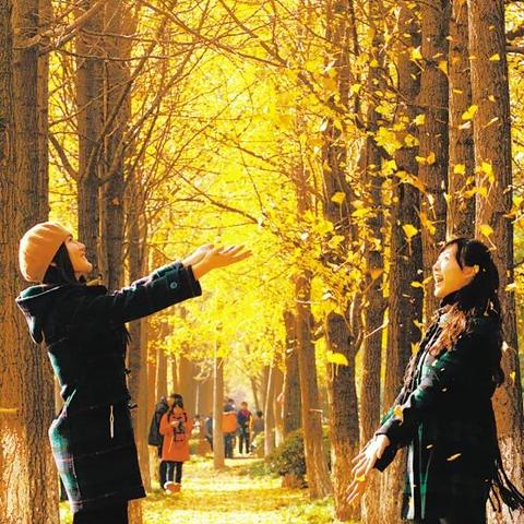 杭州木栈道的相关长尾关键词有哪些