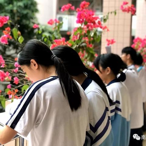 广东市佛山市四中校花的长尾关键词有哪些