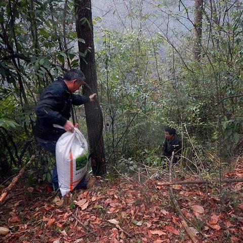 重庆三一怎么样