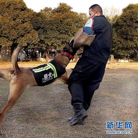 上海私家侦查公司有哪些