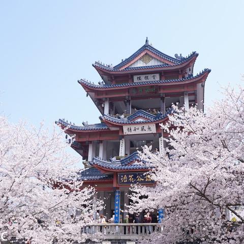 无锡市赶集日的长尾关键词有什么