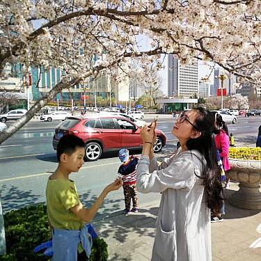 潍坊市有多少机动车