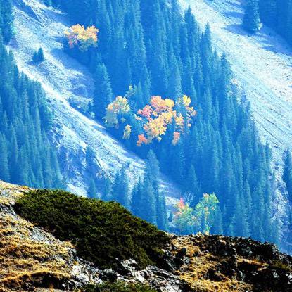 桂林世界峡谷排名多少相关长尾关键词有哪些