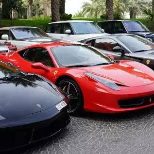 成都市哪里有宠物市场啊