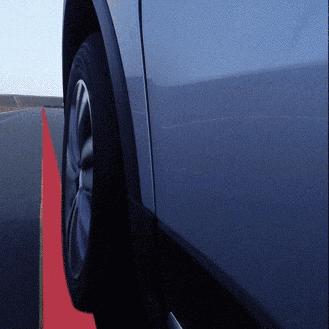 宁波市杀狗在哪个地方