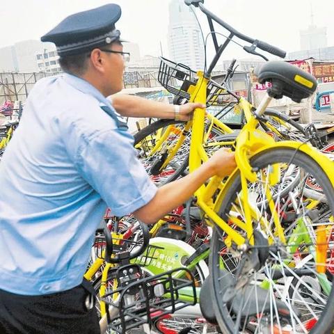 厦门市为什么还砍树木呢