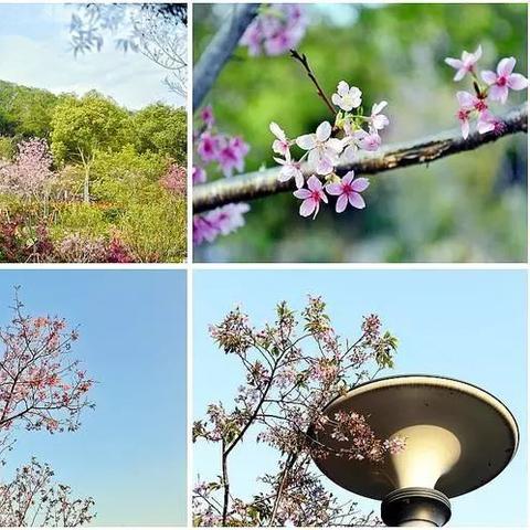厦门市海沧区人民政府的相关长尾关键词有哪些