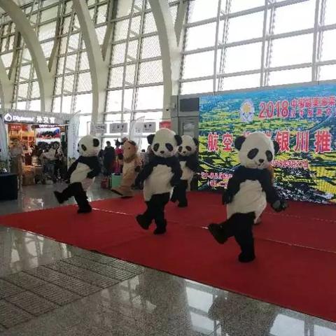 深圳宝安机场可以看到海吗?离地铁机场线远不远？