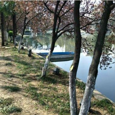 合肥市殡仪馆在哪个位置