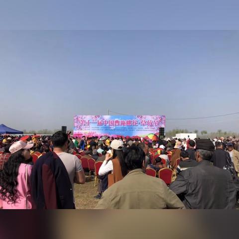 曹庵镇划到合肥市哪个区