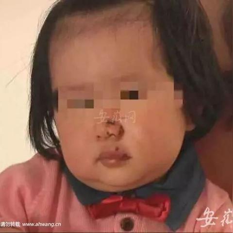 合肥市哪里有收狗的店子