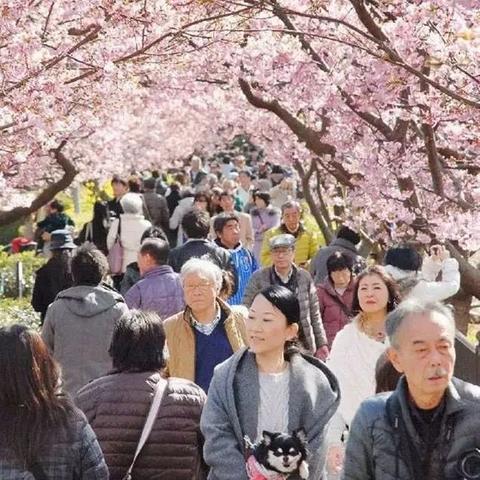 沈阳市杏花谷在哪个地方