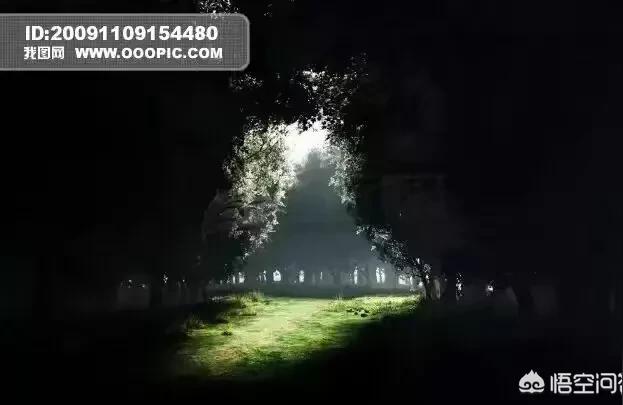 梦见看别人算命解梦有科学依据吗