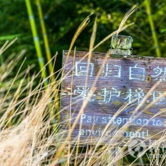 桂林注水肉整治相关长尾关键词有哪些