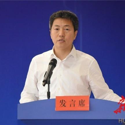 阿波罗跨境物流怎么查