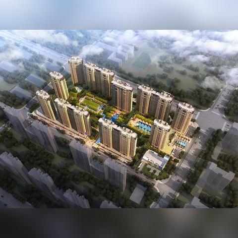 杭州市摇号进什么网查