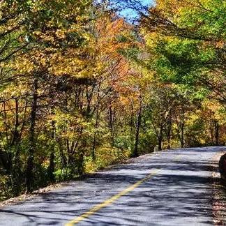 手机海外版tiktok如何注册