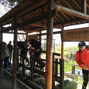 [苏州博物馆莲花杯子]相关长尾关键词有哪些