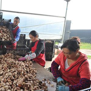 昆明市有多少人常住人口