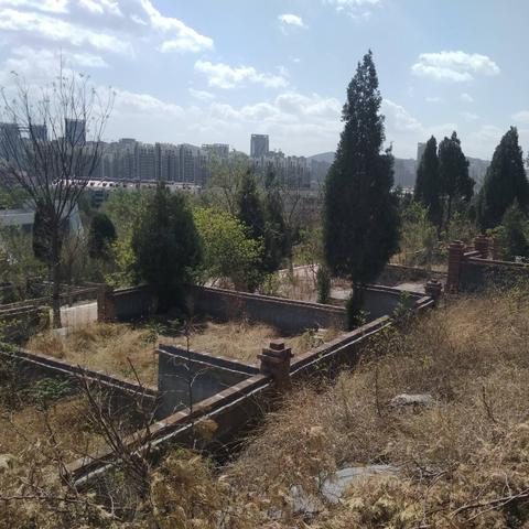 济南宠物殡葬相关长尾关键词有哪些