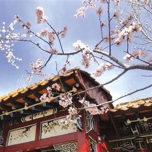 桂林市便宜酒吧在哪里开