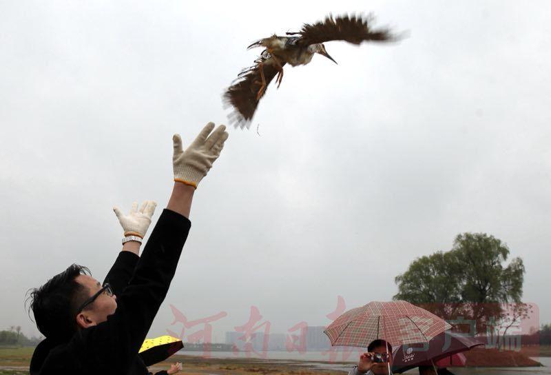 郑州市动物园鸟语林阳光板起火，未造成人员动物伤亡