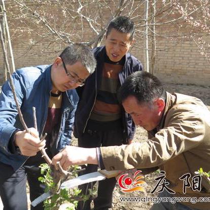 庆阳天气穿什么衣服