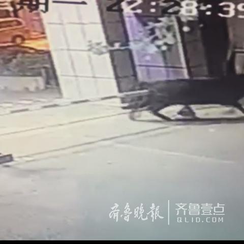济南偏僻公园相关长尾关键词有哪些