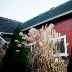 福尔曼有哪些电影名字