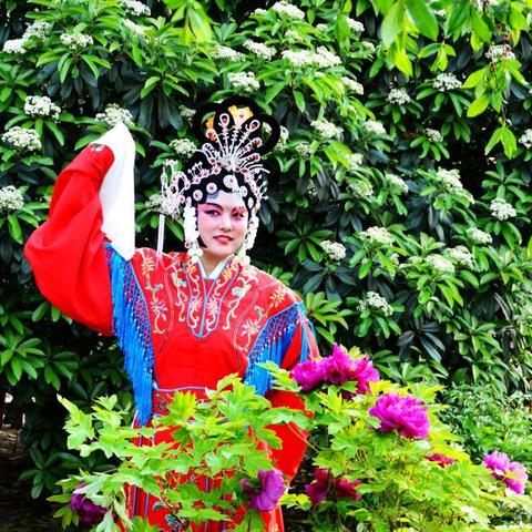 邯郸市室外直播基地的长尾关键词有哪些