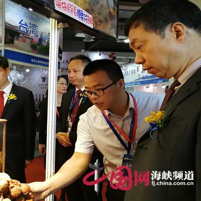 泉州最大跨境电商的相关长尾关键词是那些