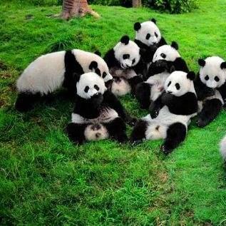 杭州多少个小区？